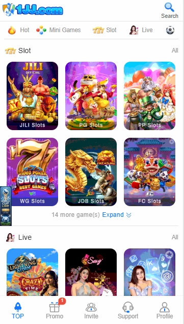 Pakistani player using 1JJ Game sports betting app